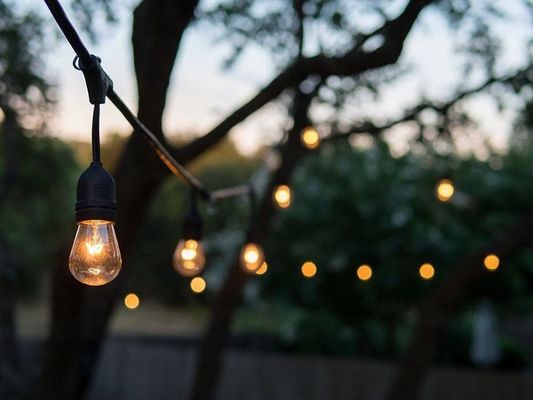 Lumière de sculpture LED extérieure de sapin de Noël avec chaîne IP65 25ft CE GS approuvé