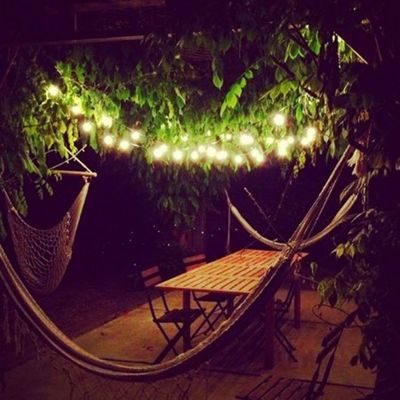 100V-220V Taille personnalisée Guirlande LED étoilée pour jardin en plein air