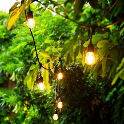 Transformez votre maison en un pays des merveilles en hiver avec des produits Café Lampes solaires
