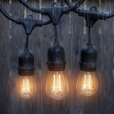 Lumière à chaîne LED de taille de couleur personnalisée pour la décoration de jardin extérieur