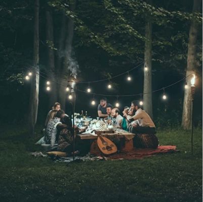 Décoration de la maison E26 LED Twinkle Light Lamp Arbre avec une tension d'entrée de taille personnalisée