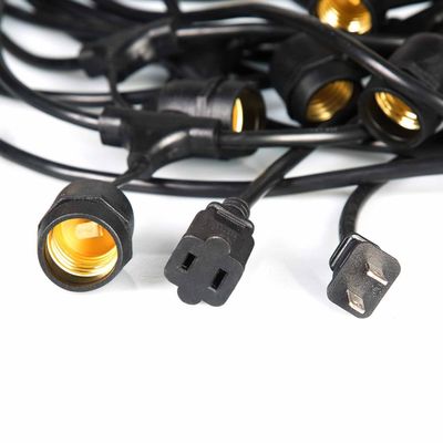 Les lumières à cordes de Noma à 12 volts sont parfaites pour les fêtes.