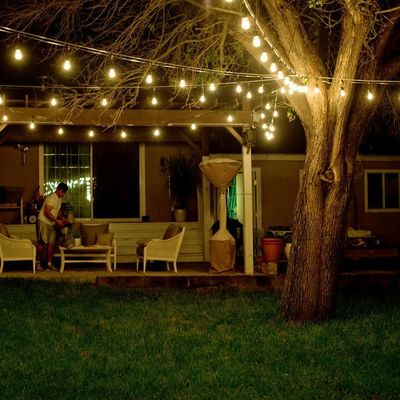 Les lumières à cordes de Noma à 12 volts sont parfaites pour les fêtes.
